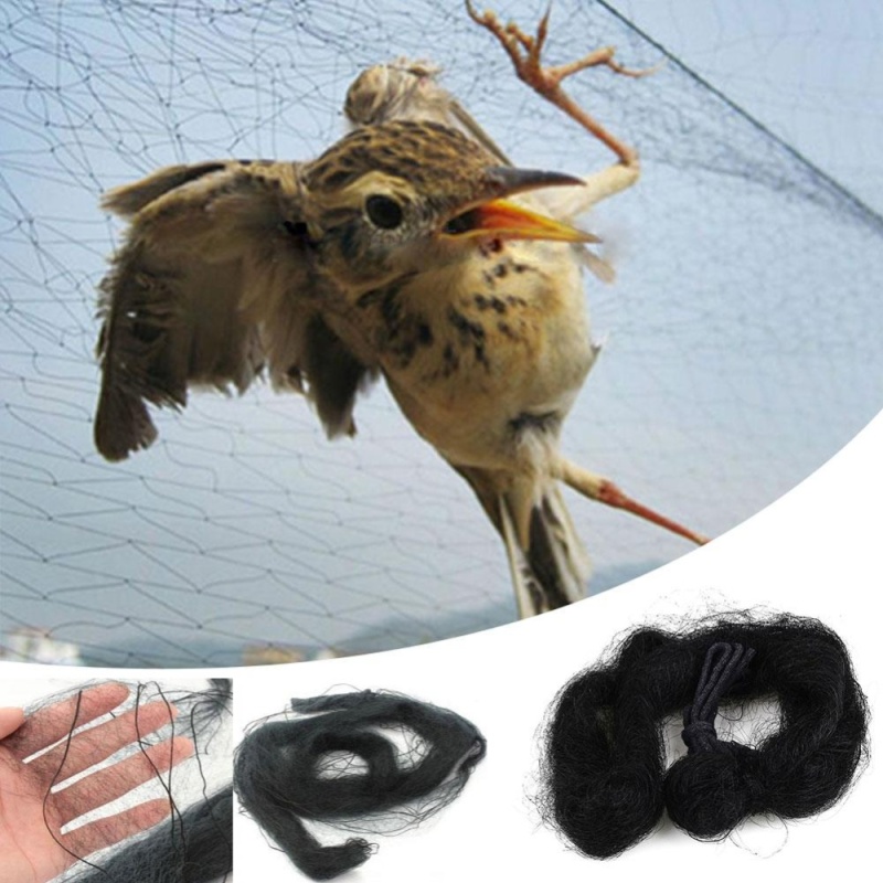 Garden Anti Bird Mist Mesh Net Plant Orchard Fruits Field Protection Devices - intl