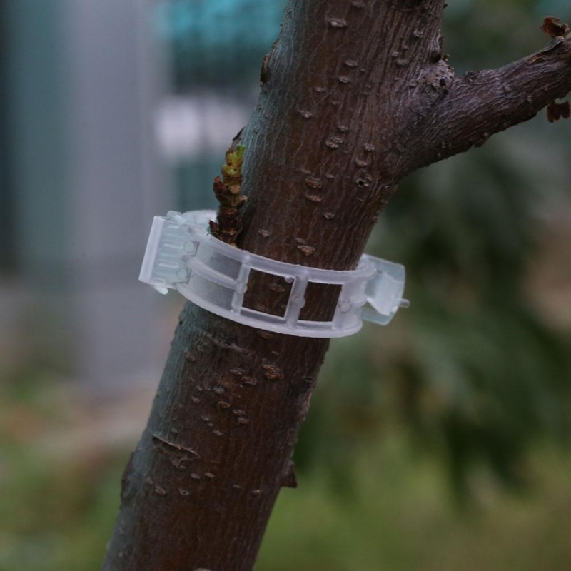 Plant Clips Secure Tool Garden Climbing Plant Support Outdoor Planting Clip - intl