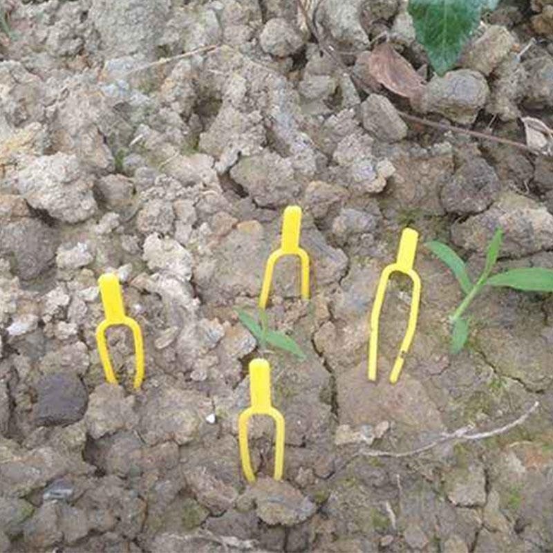 Plant Vines Fixing Support Clip Garden Vegetable Fruit Gardening Tools Caring - intl