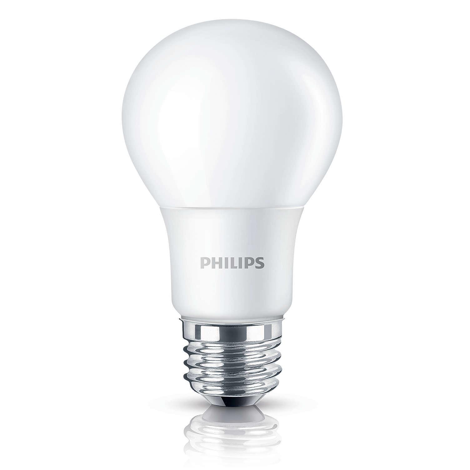 buy lighting bulbs home decoration lazada sg