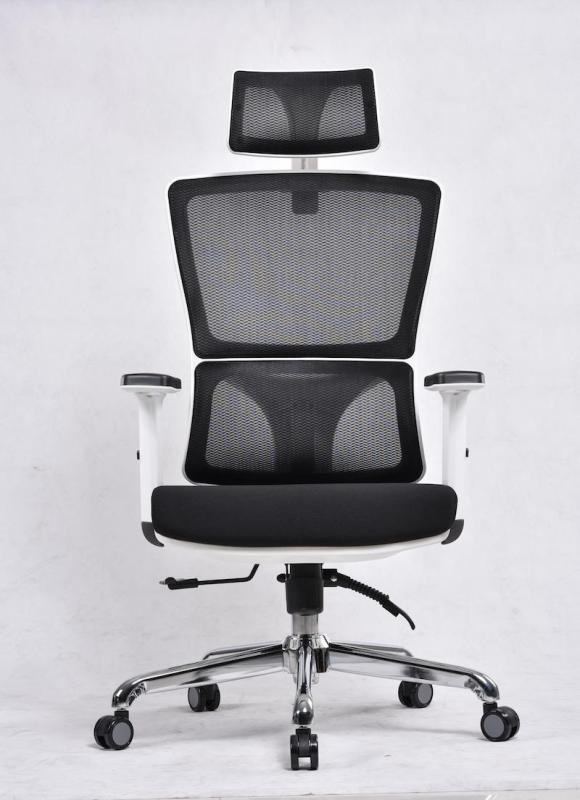 UMD Ergonomic High-Back Reclinable Mesh Office Chair with Adjustable Armrest & Headrest (Free Installation) Singapore