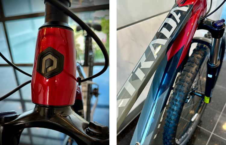 Polygon Xtrada 5 Trail Ready Mountain Bike | Shimano Deore M4100 2x10 Speed · v8