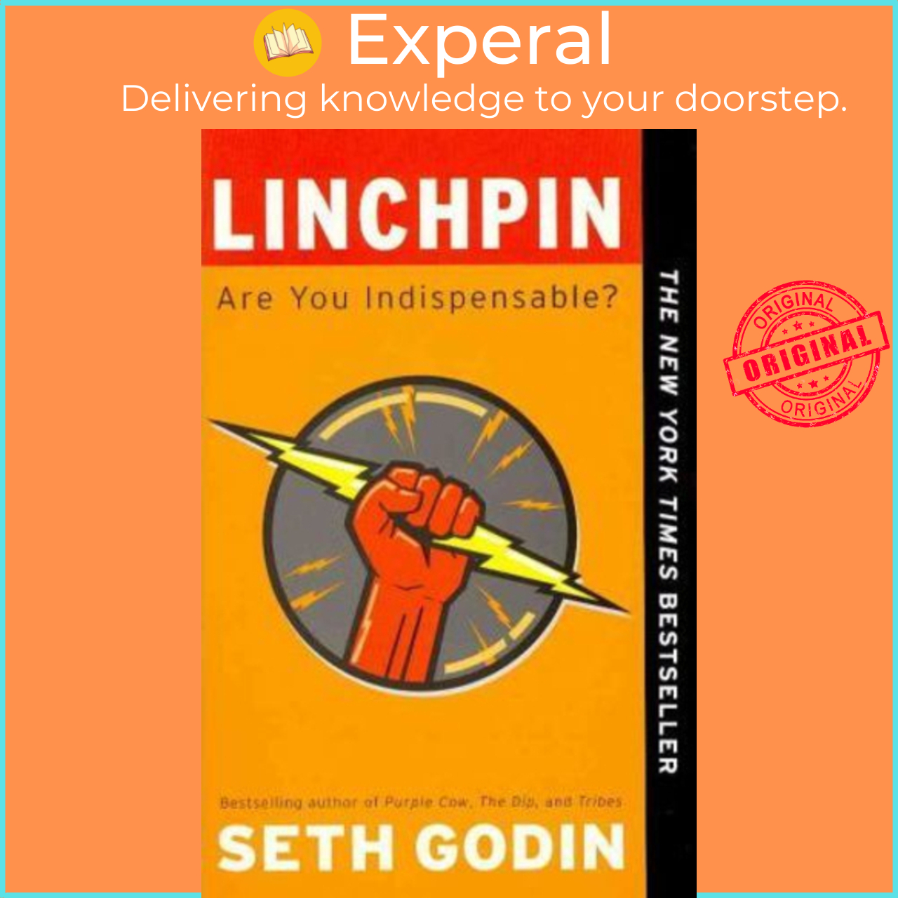 Sách - Linchpin: Are You Indispensable? by Seth Godin (US edition, paperback)