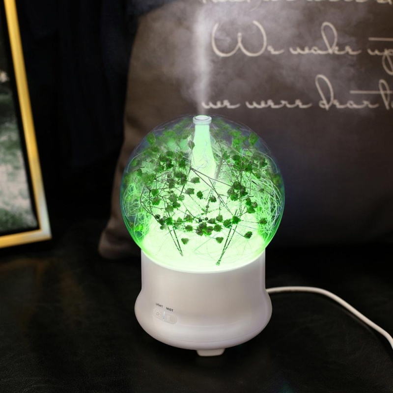 leegoal Ultrasonic Aromatherapy Essential Oil Diffuser Aroma Diffuser Cool Mist Humidifier Preserved Fresh Flower-US Plug - intl Singapore