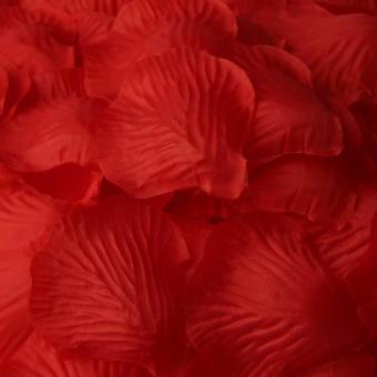 500Pcs Simulation Silk Rose Petals For Wedding Decor Party Bright Red New June 2018 - 2 500Pcs Simulation Silk Rose Petals For Wedding Decor Party Bright Red New - 2