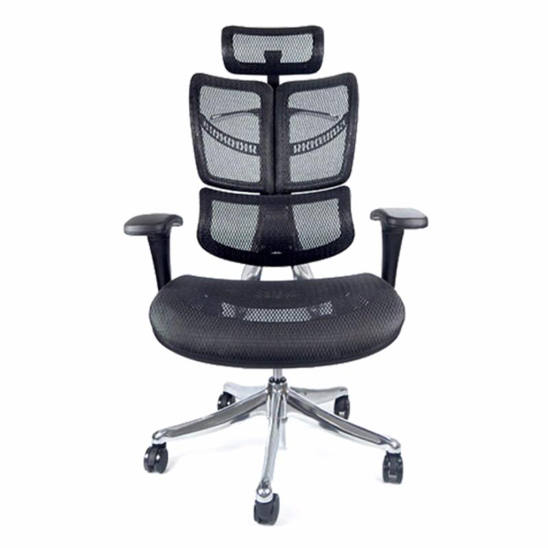 FLY Luxury Ergonomic Office Chair (Black)(Installation Option Available) Singapore