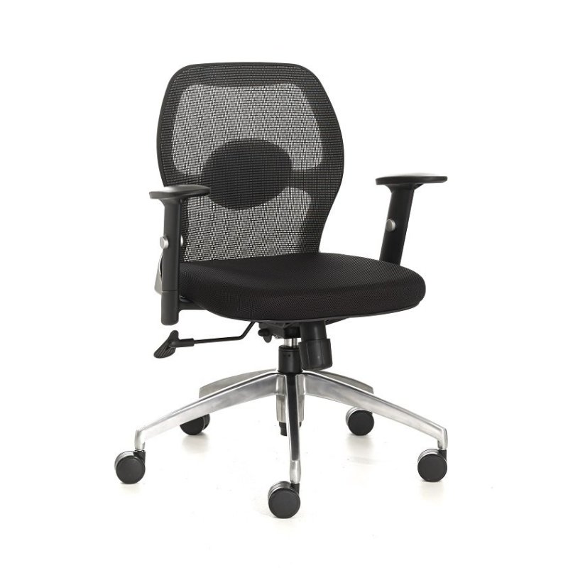 Miro Mesh Office Chair Low Back Singapore