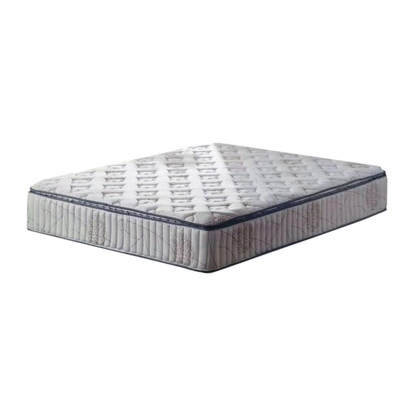 Sleeping Beauty 10 Inch Pocket Spring Mattress (Queen Size)