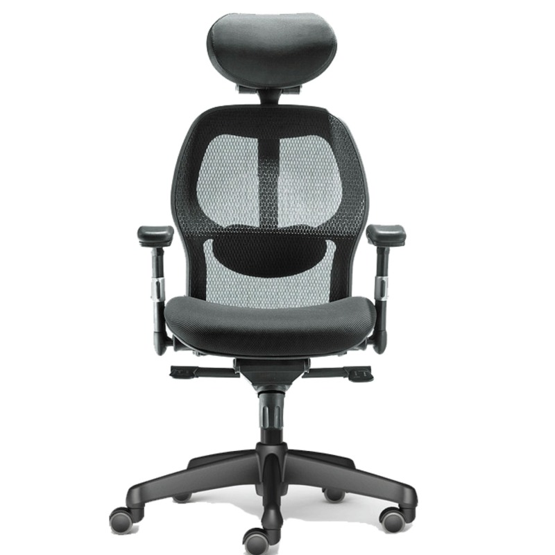 Tigereye Ergonomic Mesh Chair Singapore
