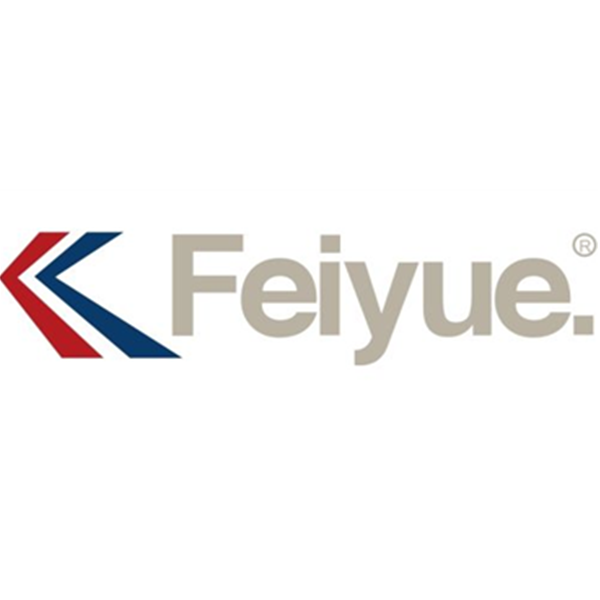 Feiyue