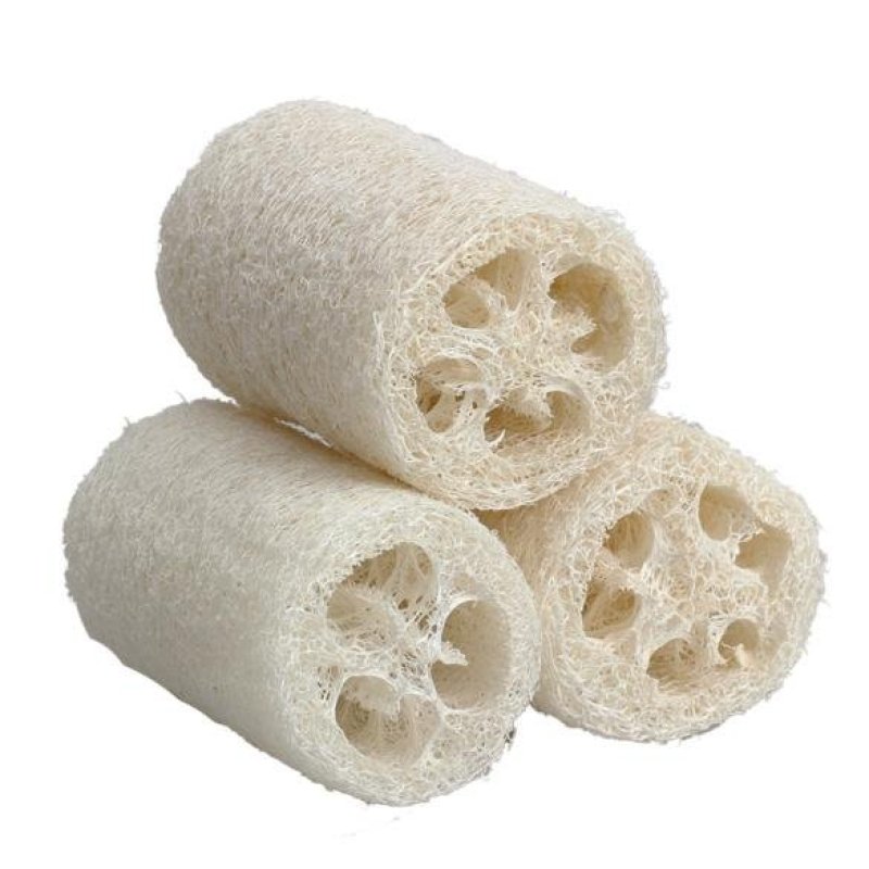 Buy 3x Natural Loofah Luffa Loofa Bath Body Shower Sponge Scrubber
Small Size - intl Singapore
