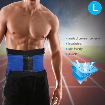 Adjustable Waist Guard Back Brace Support Protector Lumbar Belt(Blue-L) - Intl May 2018 - 5 Adjustable Waist Guard Back Brace Support Protector Lumbar Belt(Blue-L) - intl - 5