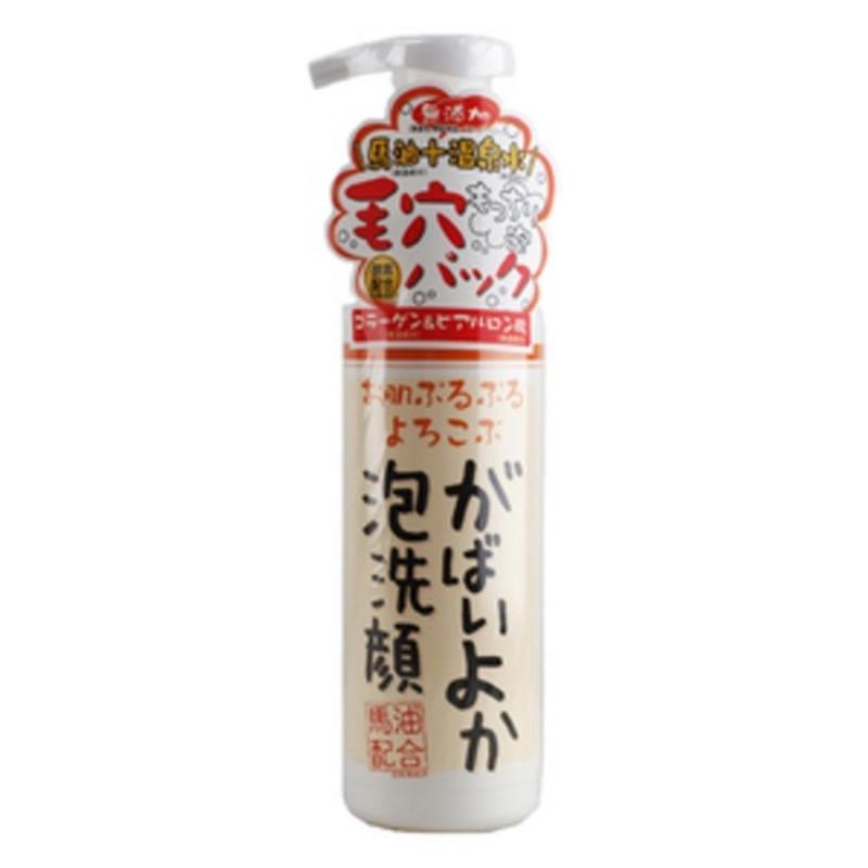 Buy Asty Gabaiyoka Horse Oil Foaming Facial Cleanser Singapore