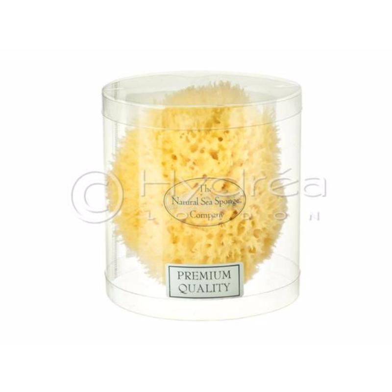 Buy Hydrea London Honeycomb Sea Sponge Mediterranean Origin - Premium
Quality, Size 4, 5 - 5.5 Singapore
