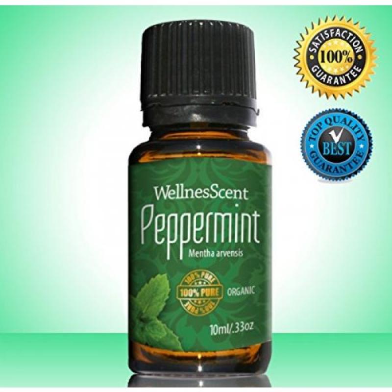 Buy Peppermint Essential Oil 100% Pure Organic & Therapeutic Grade, Used in Aromatherapy -10 Ml Mentha Arvensis Singapore