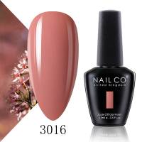 NAILCO Fashion 15ML Gel Nail Soak Off UV Nail Art Semi-permanent Varnish Lacquer Manicure Nail Supplies For Professinals