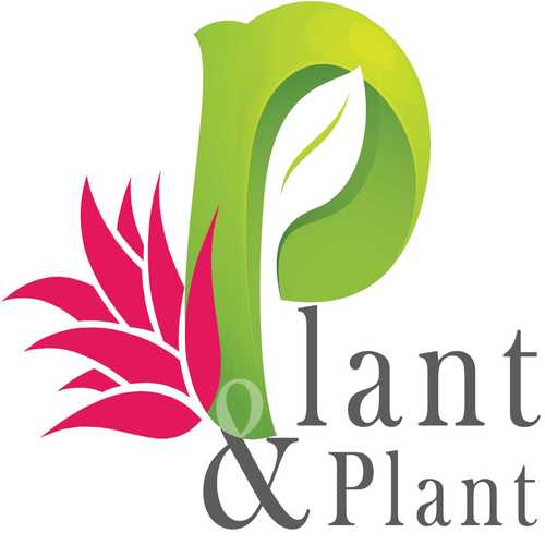 Plant and Plant