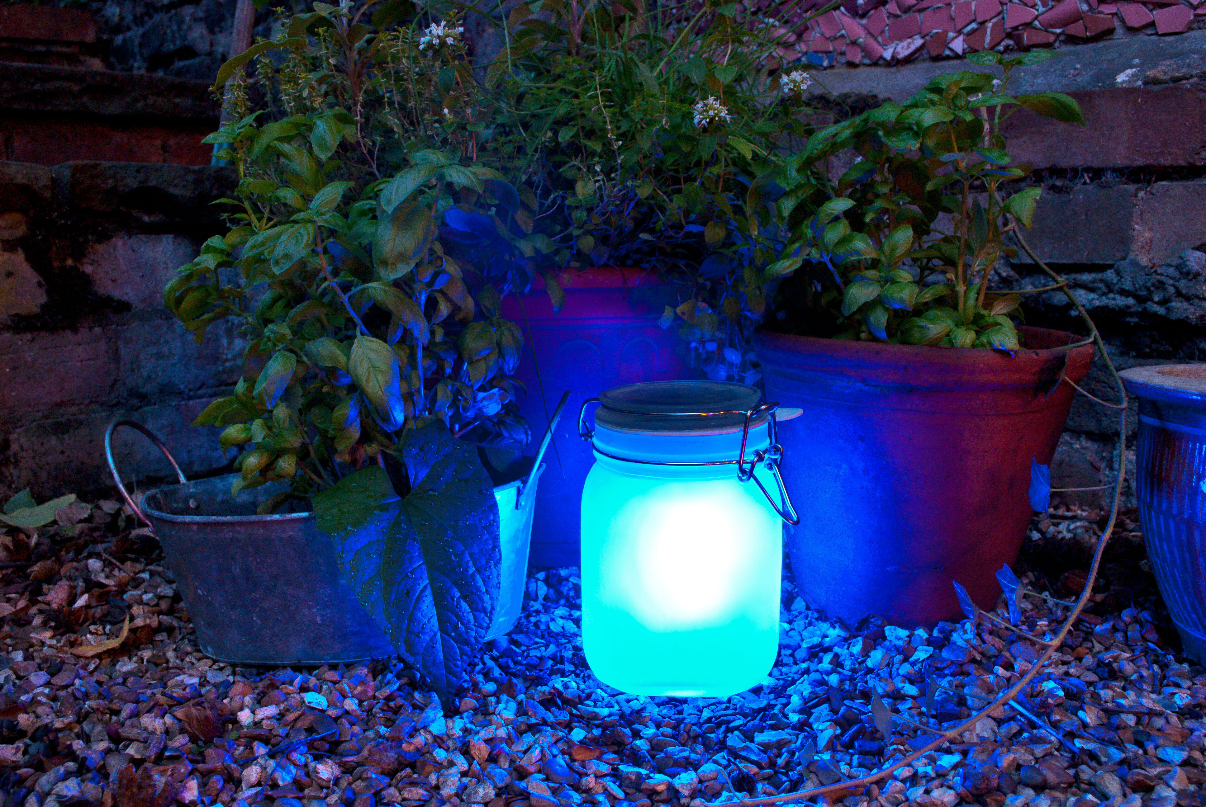 blue solar powered garden lights