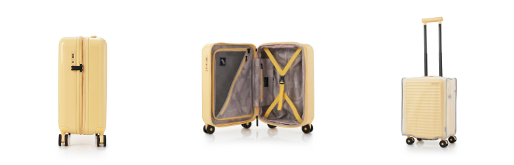 Чехол для спиннера Samsonite RED Toiis Blossom 55/20 EXP