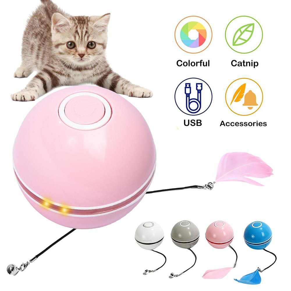 rechargeable cat toy