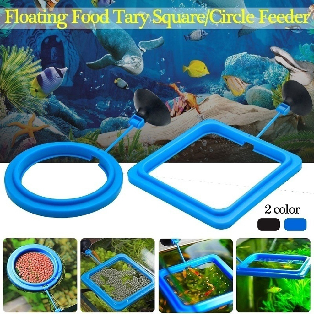 Khay đựng thức ăn cho cá cảnh hình tròn động vật khay đựng thức ăn có cốc hút phao nổi vòng cho cá ăn