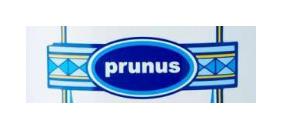PRUNUS